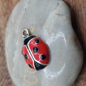Cute‎ ladybug feminine pendant charm